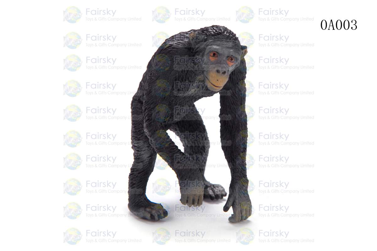 CHIMPANZEE