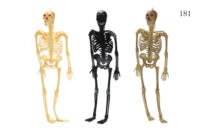 12" Human Skeleton 1 Style 3 Assorted Colors