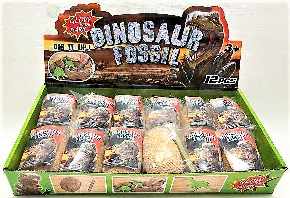 Dinosaur Fossil