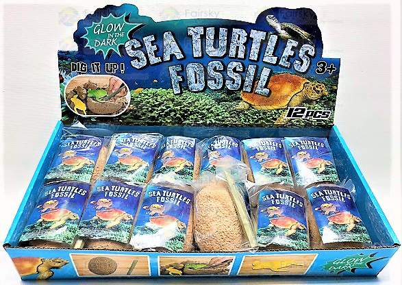 Sea Turtles Fossil