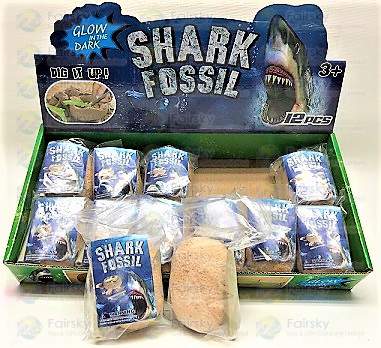 Shark Fossil