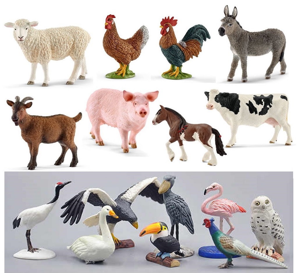 Bird & Farm Animals