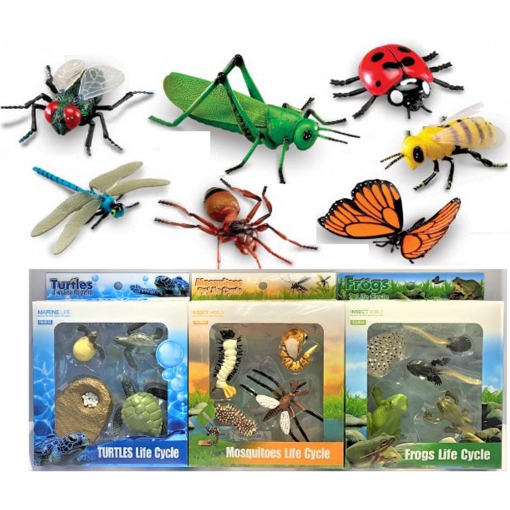 Insect & Reptile Animals