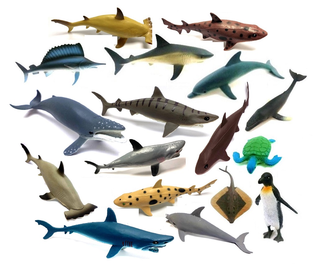 Ocean Animals